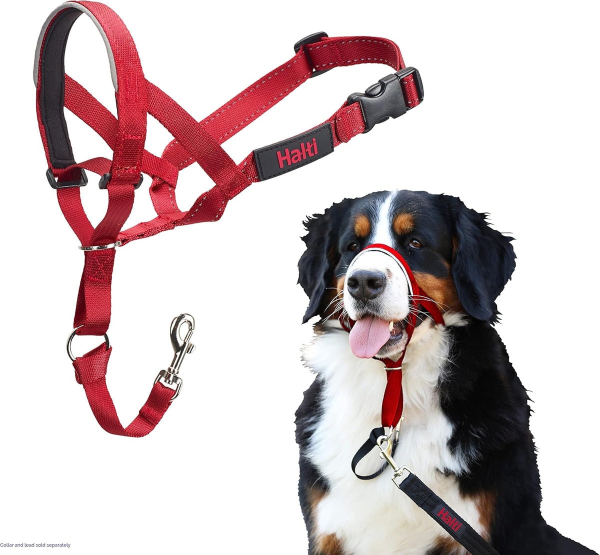 HALTI Adjustable Dog Headcollar