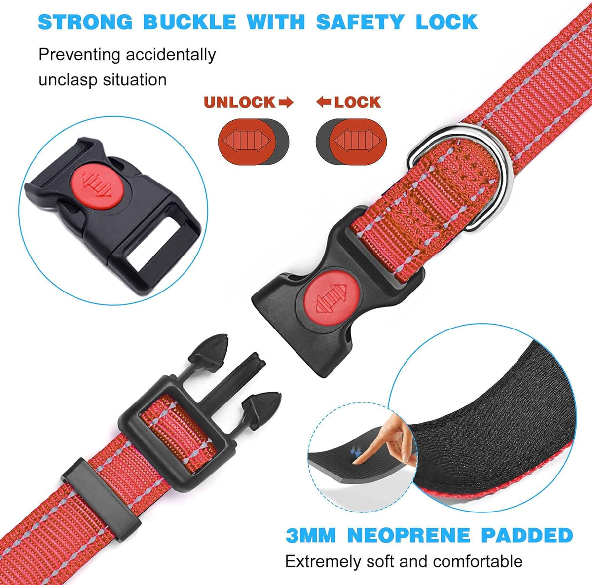 haapaw Reflective Dog Collar with Neoprene Padding