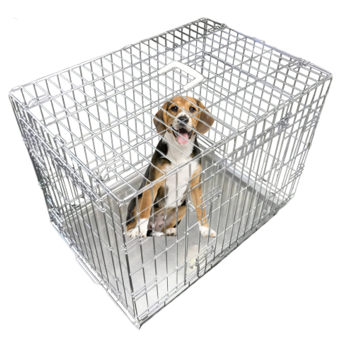 Ellie-Bo Folding Two-Door Dog Crate