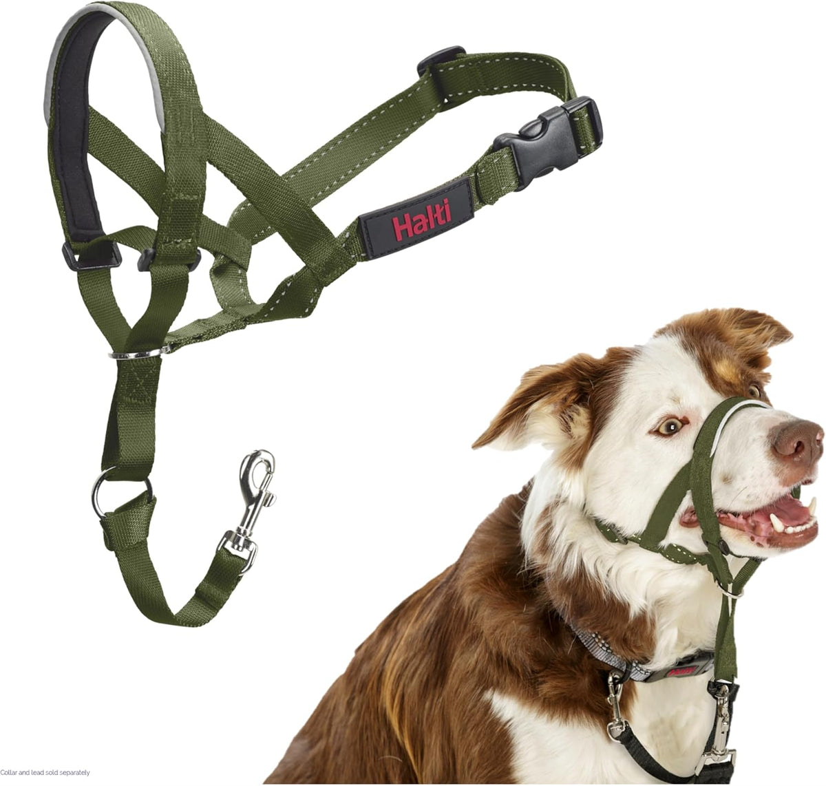 HALTI Adjustable Dog Headcollar