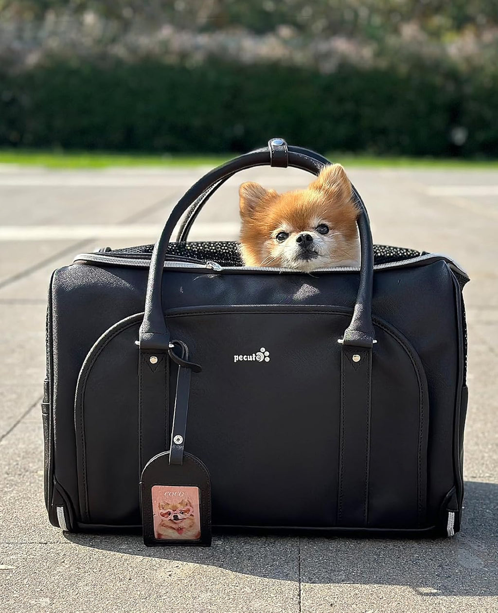 pecute PU Pet Carrier Bag