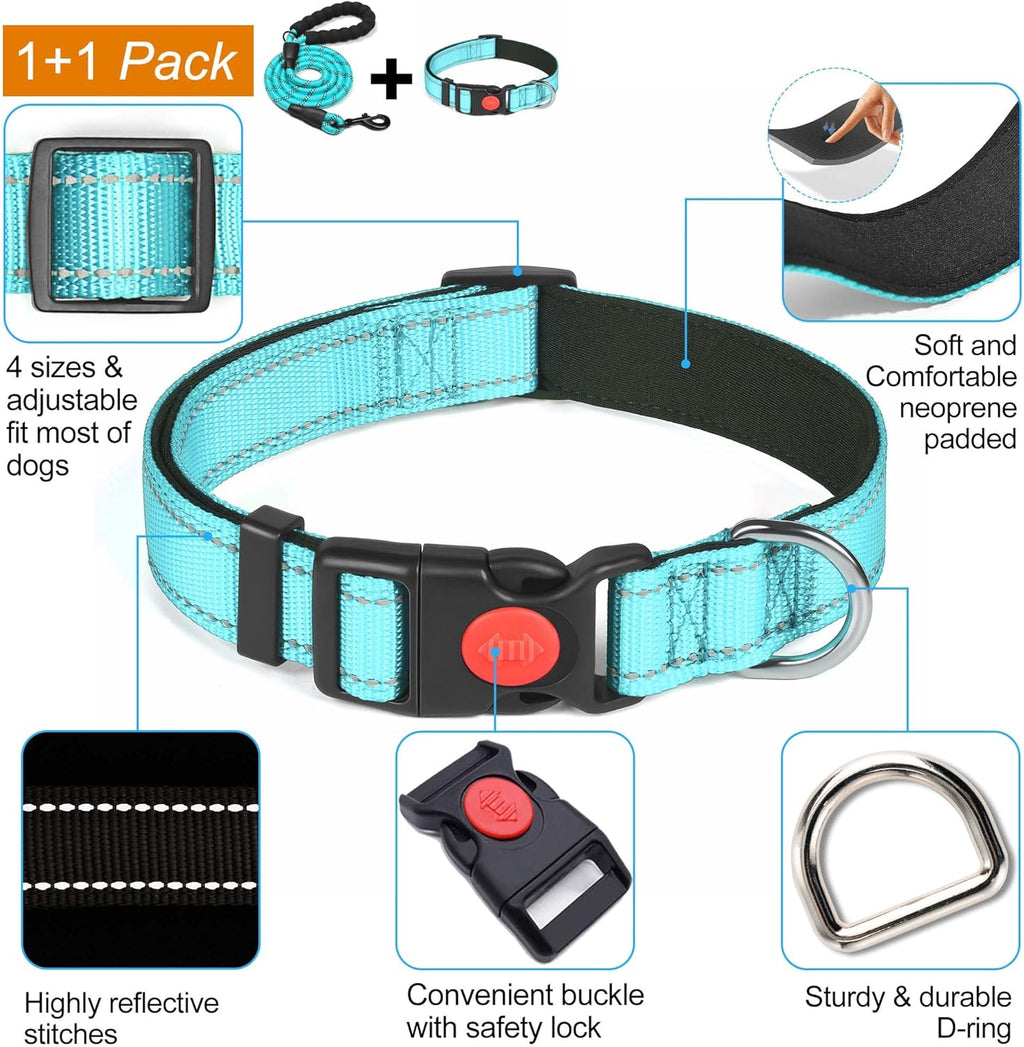 haapaw Reflective Dog Collar with Neoprene Padding