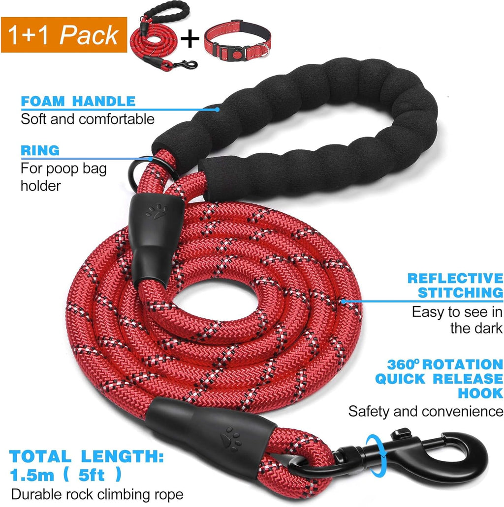 haapaw Reflective Dog Collar with Neoprene Padding