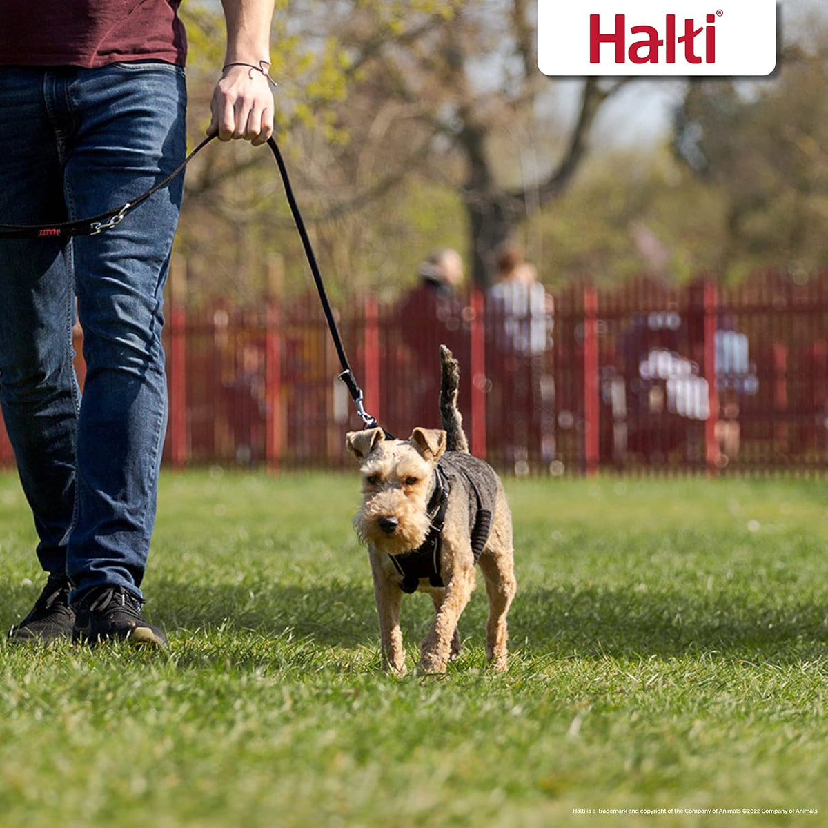HALTI Adjustable Dog Walking Harness