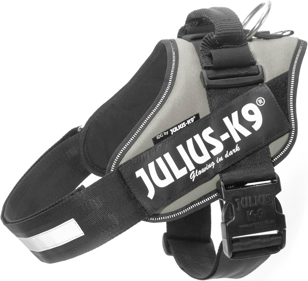 Julius-K9 IDC Powerharness for Small Dogs