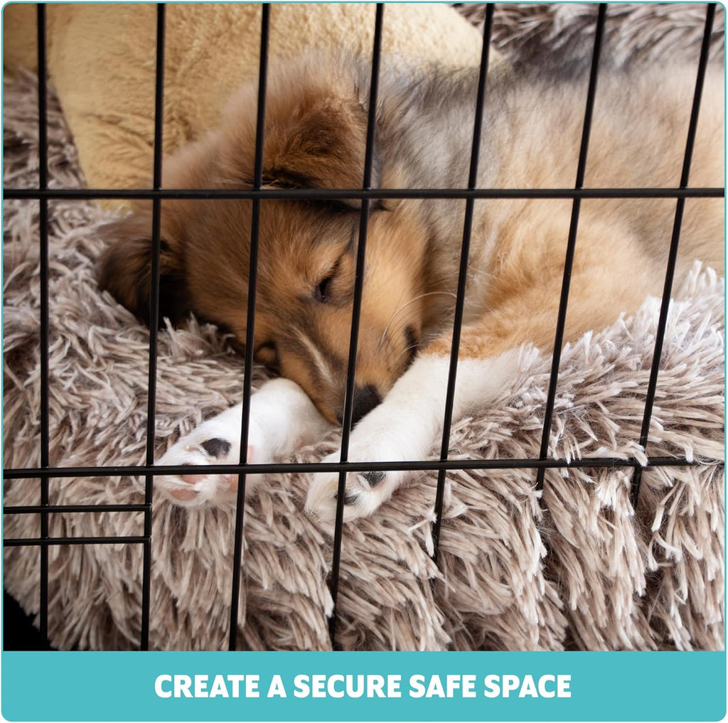 Two-Door Folding Metal Dog Crate