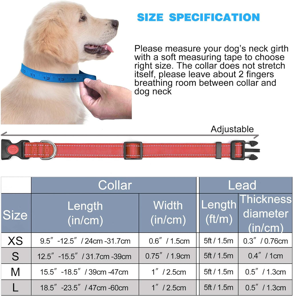 haapaw Reflective Dog Collar with Neoprene Padding