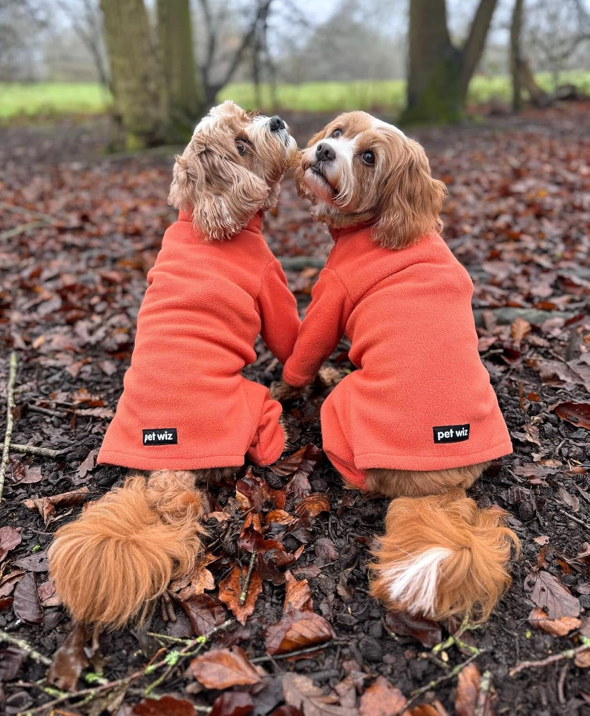 Four-Legged Fleece Dog Suit