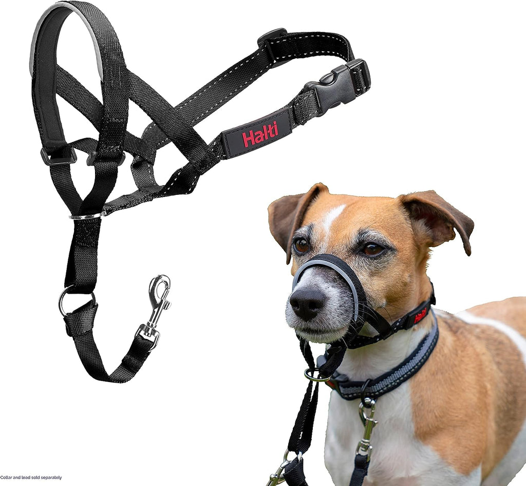 HALTI Adjustable Dog Headcollar