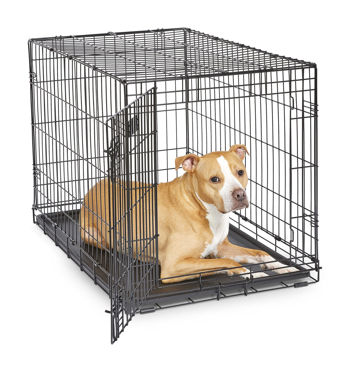 MidWest iCrate Folding Dog Crates