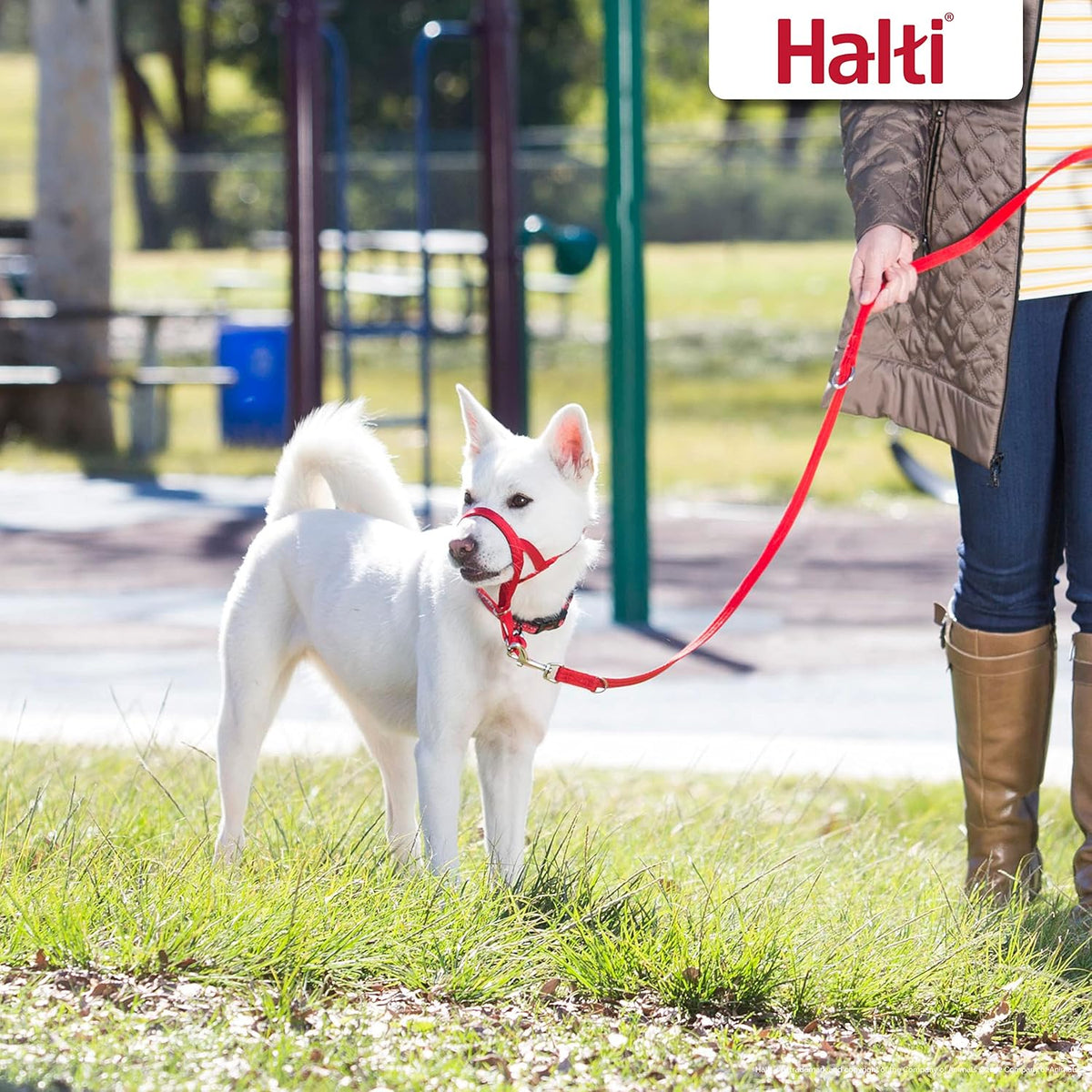 HALTI Double-Ended Training Lead