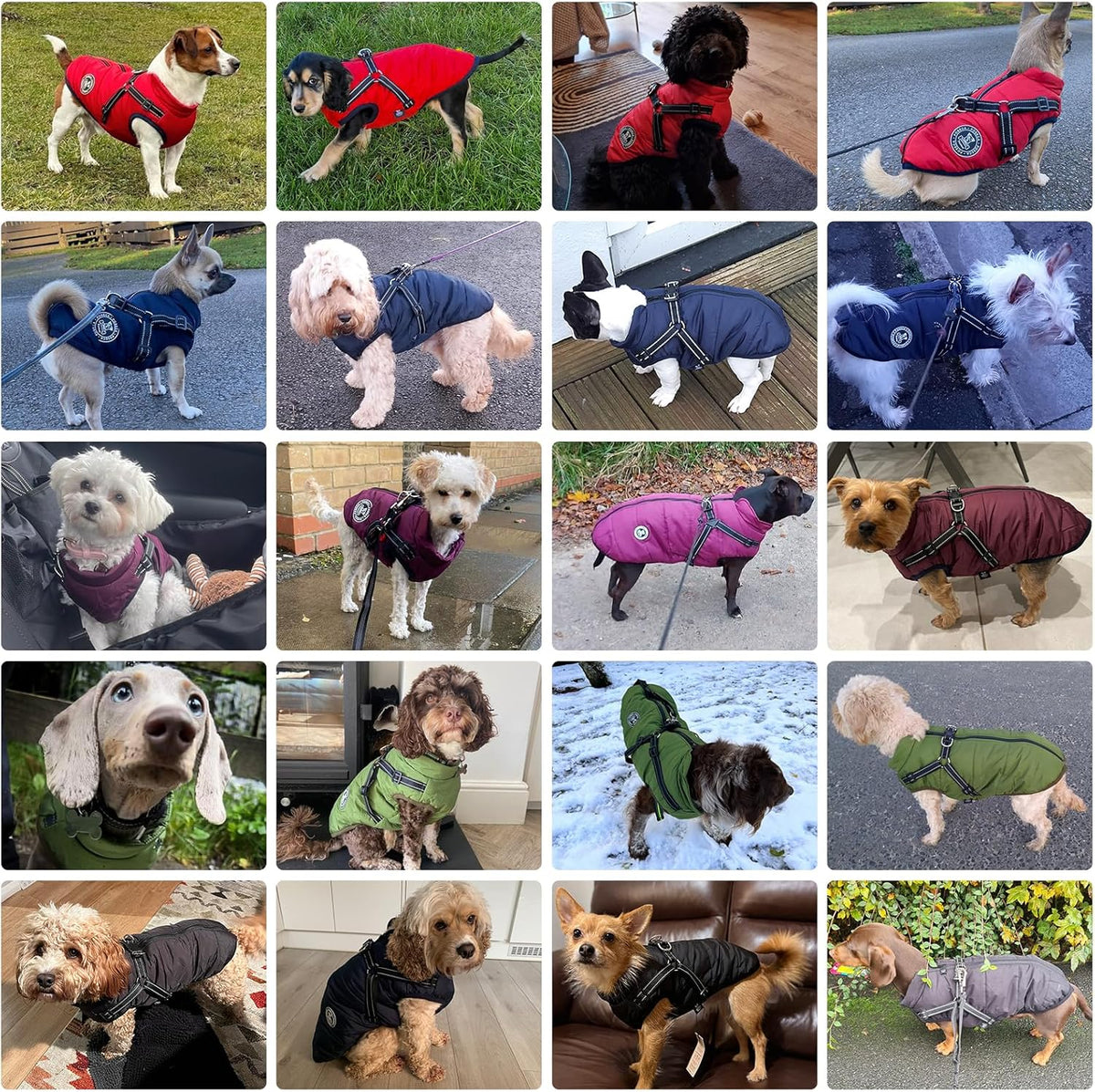 Poseca Dog Coat with Harness Attachment