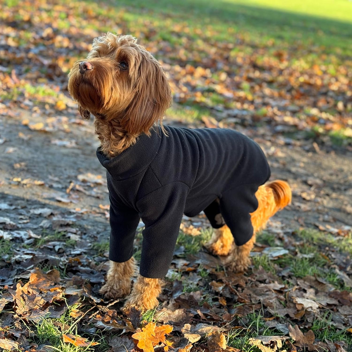 Four-Legged Fleece Dog Suit