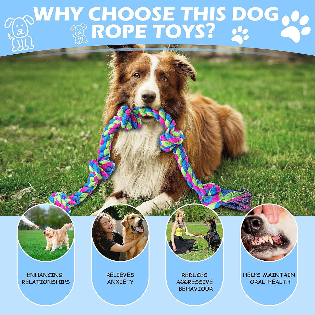 Aitmexcn Dog Rope Toys and Play Sets