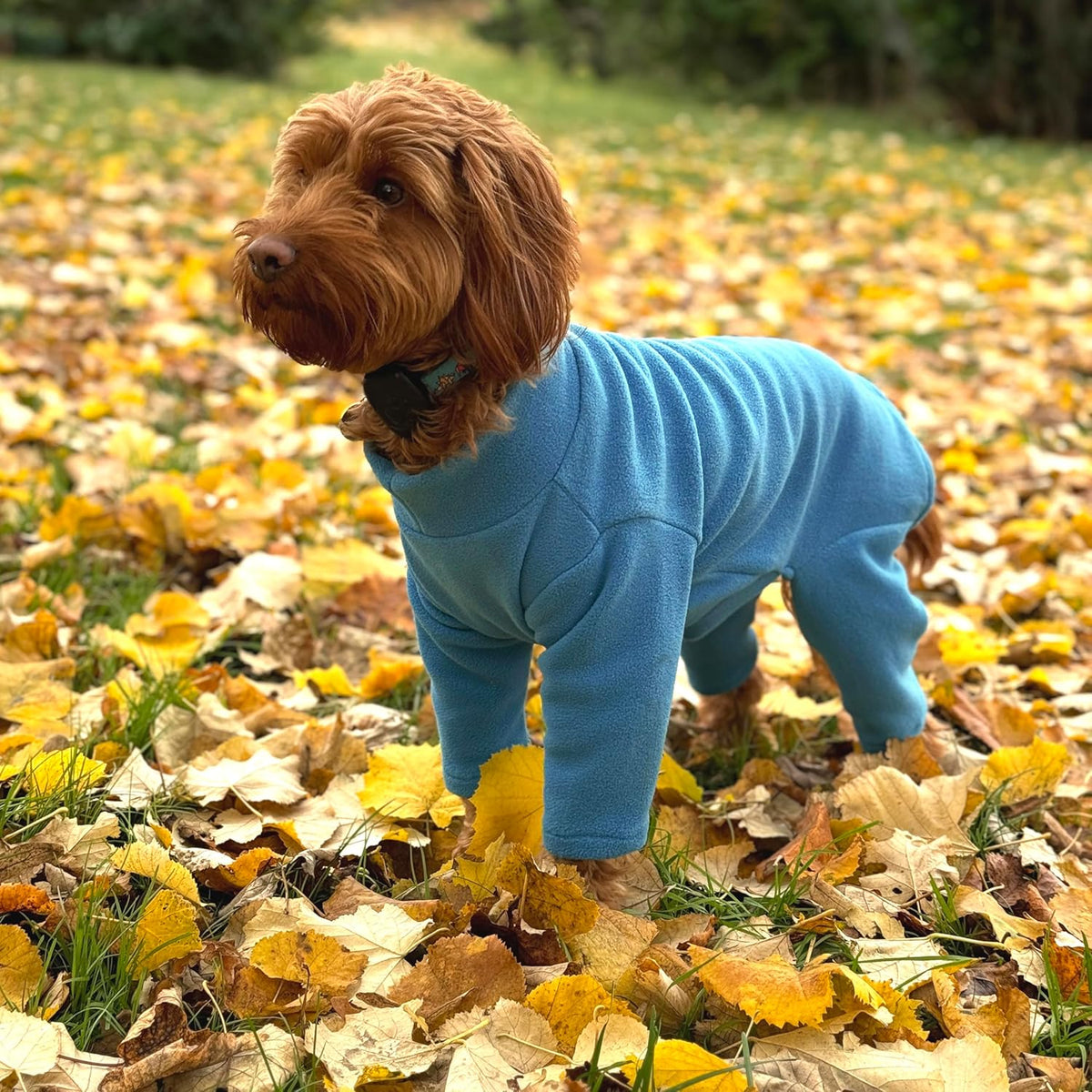 Four-Legged Fleece Dog Suit