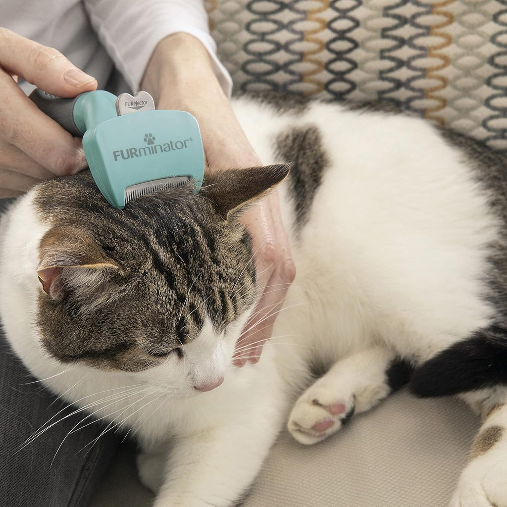 FURminator Cat Undercoat Grooming Tools