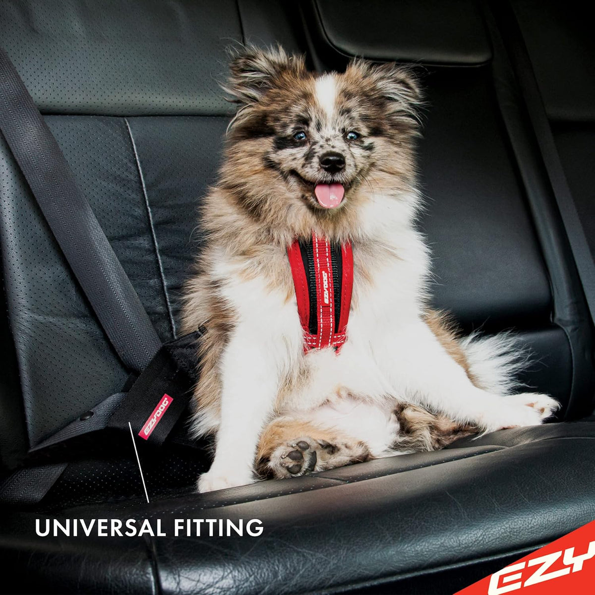 EzyDog Dog Seat-Belt Attachment