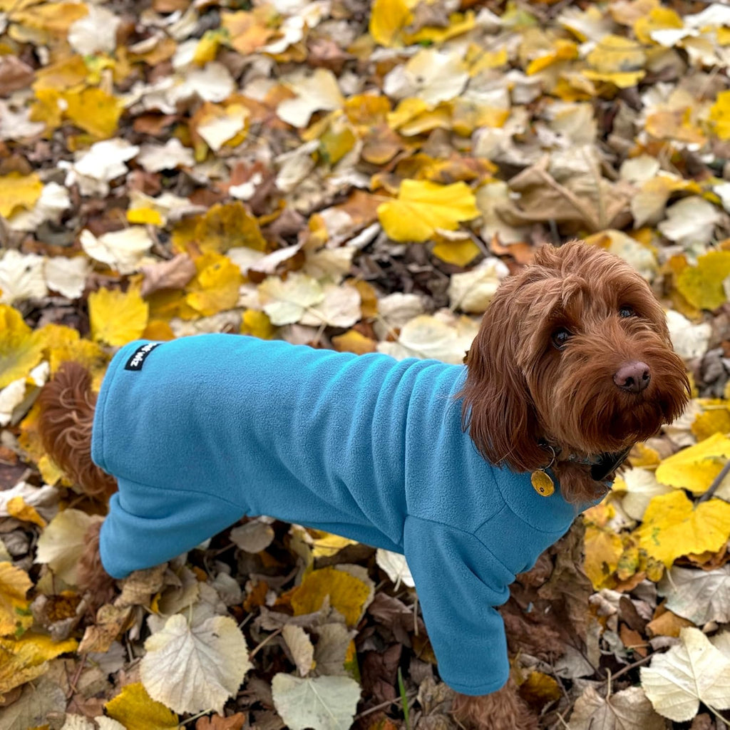Four-Legged Fleece Dog Suit