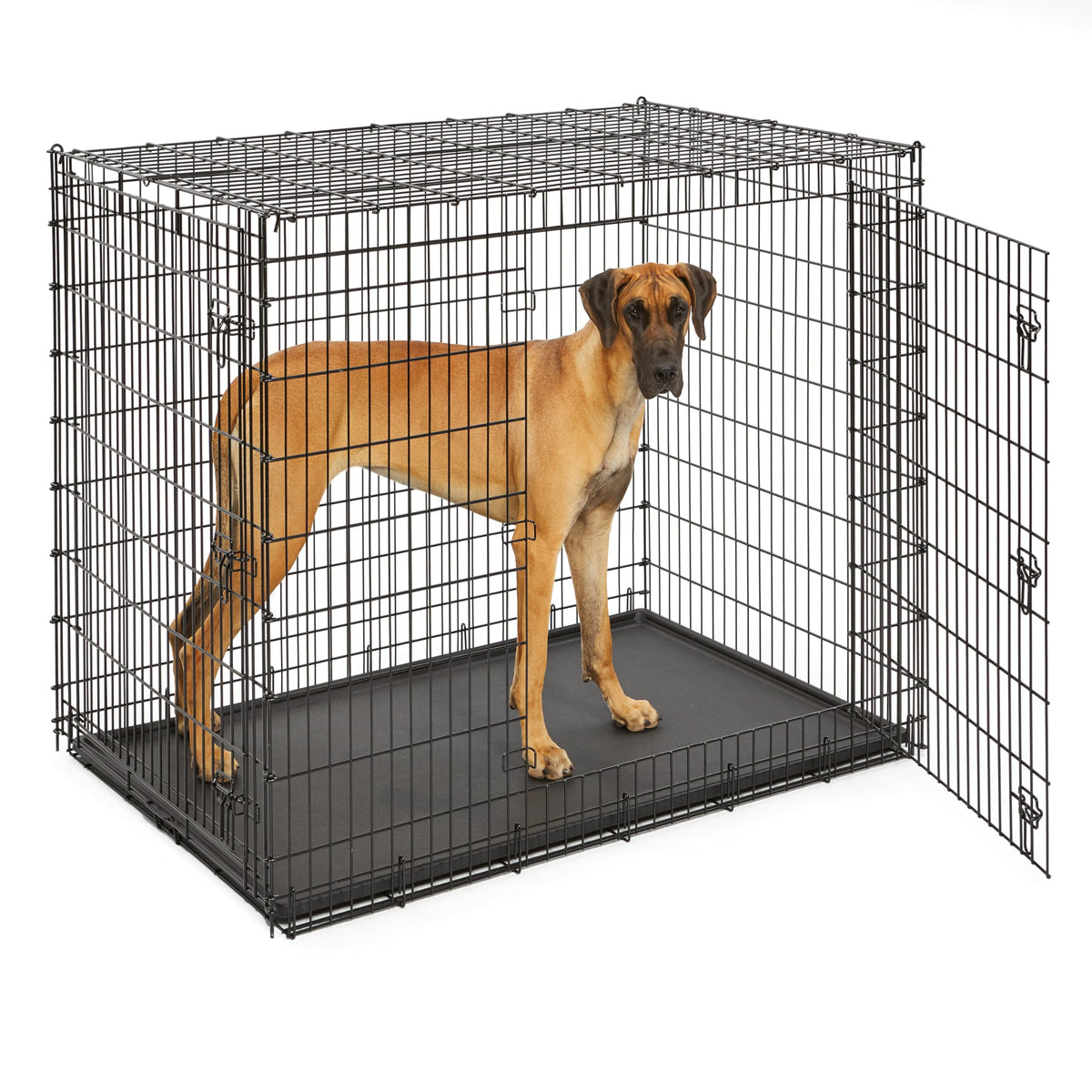 MidWest iCrate Folding Dog Crates