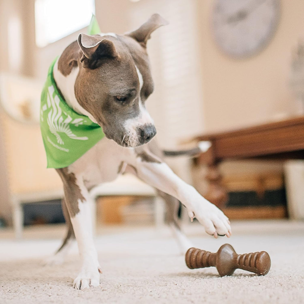Benebone Dog Chew Toy Multipacks